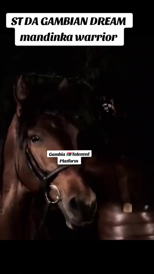 TikTok video thumbnail by gambiatalentedplatform