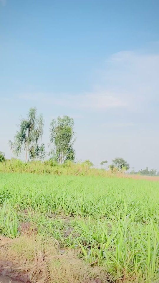TikTok video thumbnail by nasar.awan