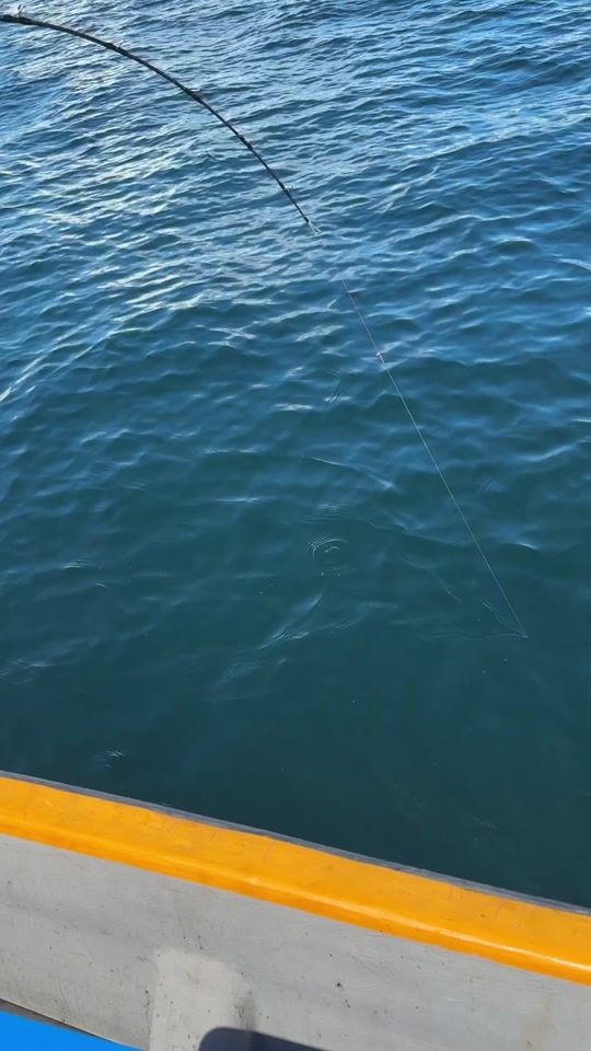 TikTok video thumbnail by lsapa7