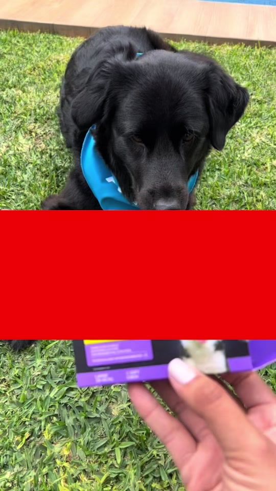 TikTok video thumbnail by royalpet.pe