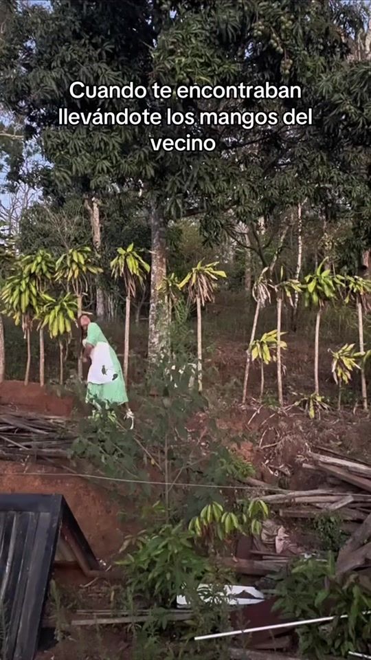 TikTok video thumbnail by tato2909