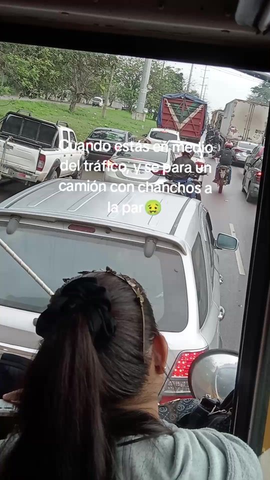 TikTok video thumbnail by maryory503