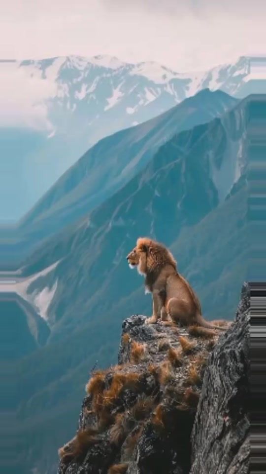 TikTok video thumbnail by z.m.7.10