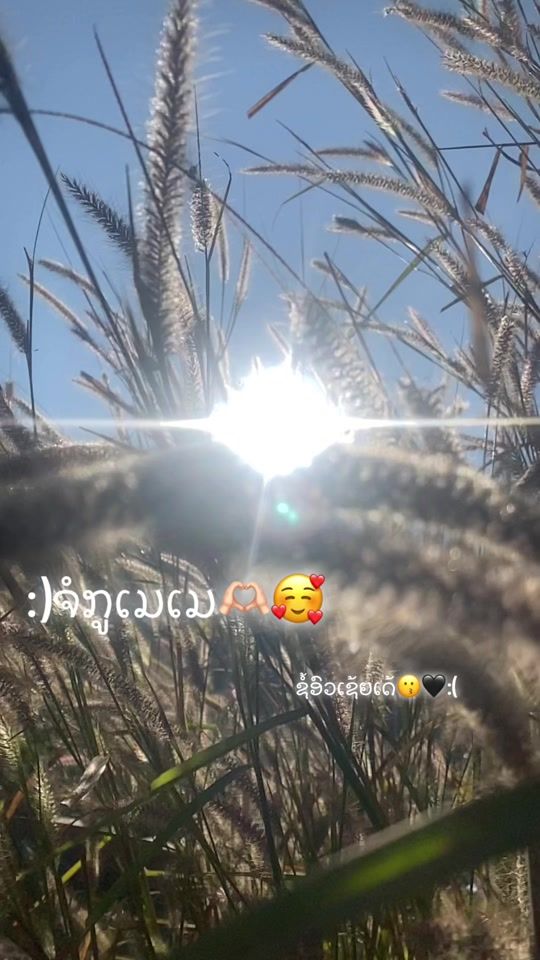 TikTok video thumbnail by tou.tou5570
