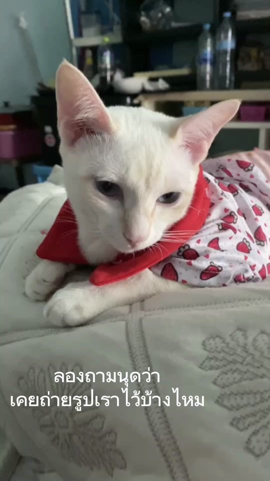 TikTok video thumbnail by aa_dd_27