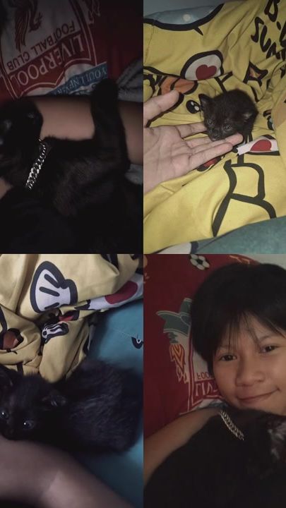 TikTok video thumbnail by poramasiriphimpha