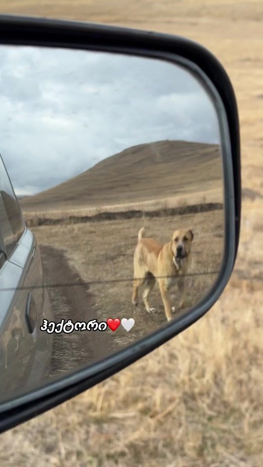 TikTok video thumbnail by aragveli