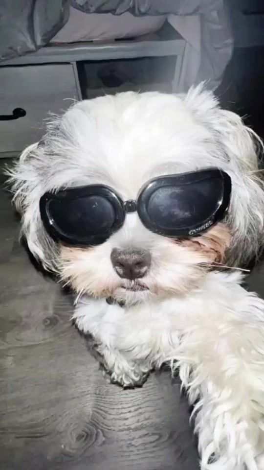 TikTok video thumbnail by fegxssfg