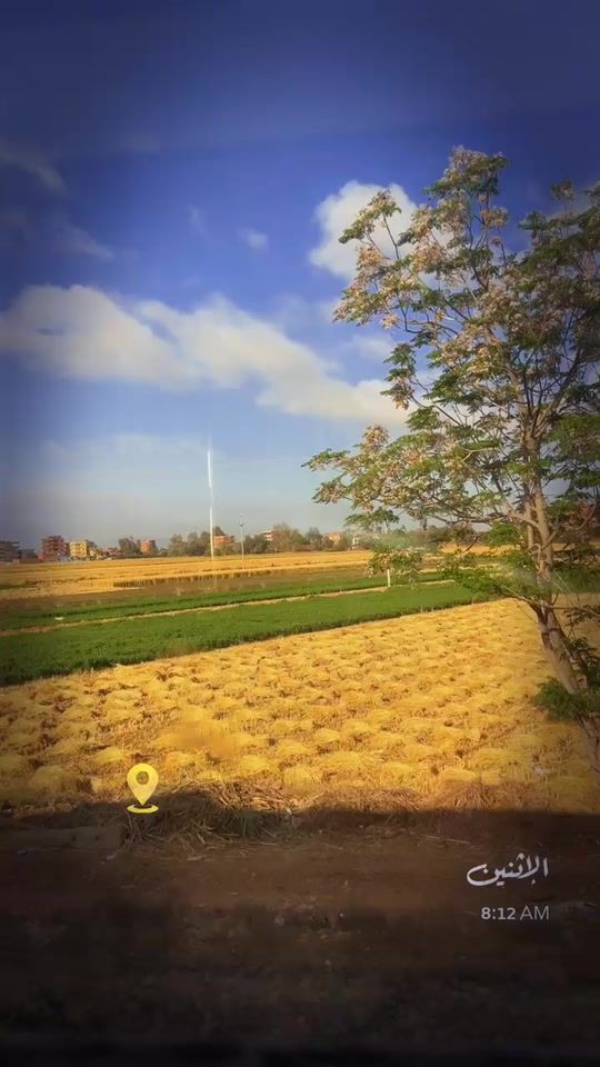 TikTok video thumbnail by shaimafarag14