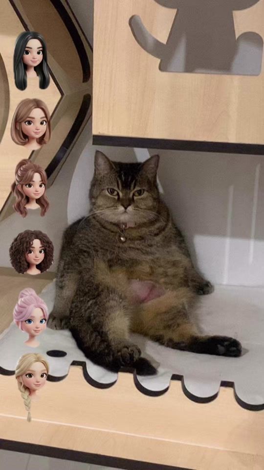 TikTok video thumbnail by auralovecat