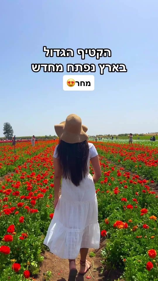 TikTok video thumbnail by sharon_feldman
