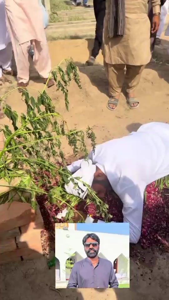 TikTok video thumbnail by user8630350115922