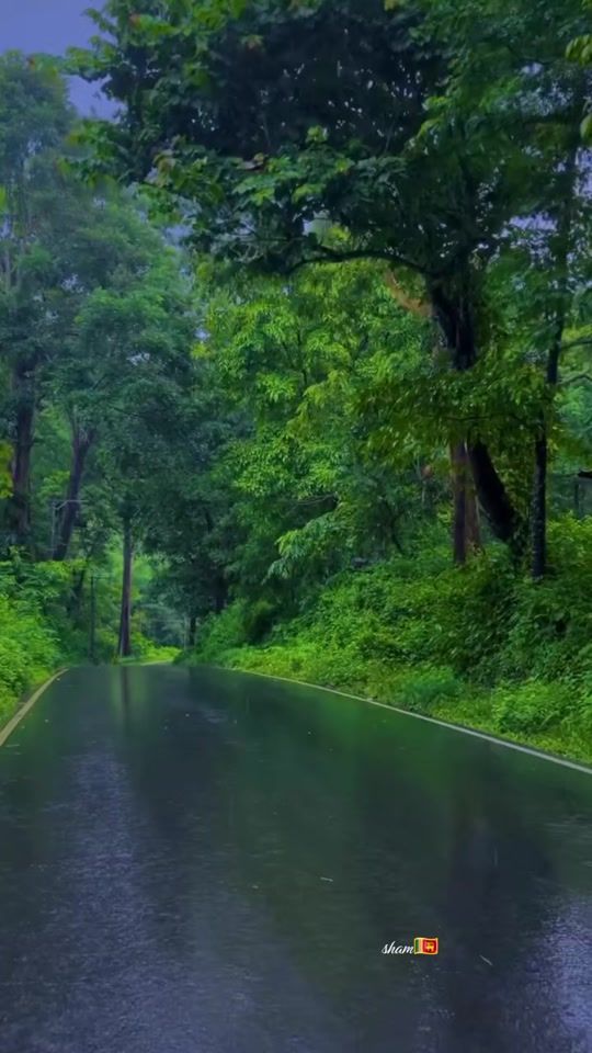 TikTok video thumbnail by shamromesh1