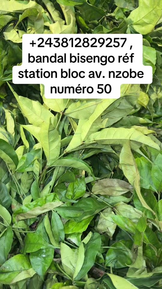 TikTok video thumbnail by sekele_ya_loposo