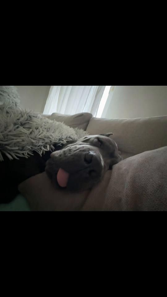 TikTok video thumbnail by tami18717