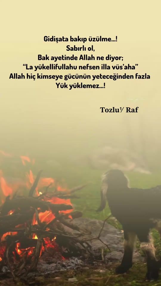 TikTok video thumbnail by tozlu1cumle