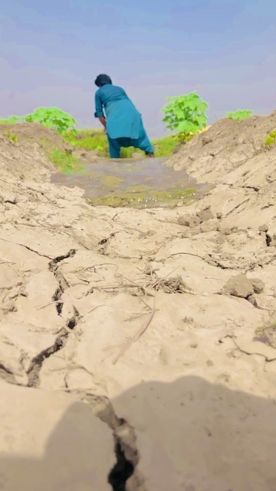 TikTok video thumbnail by farmer4680