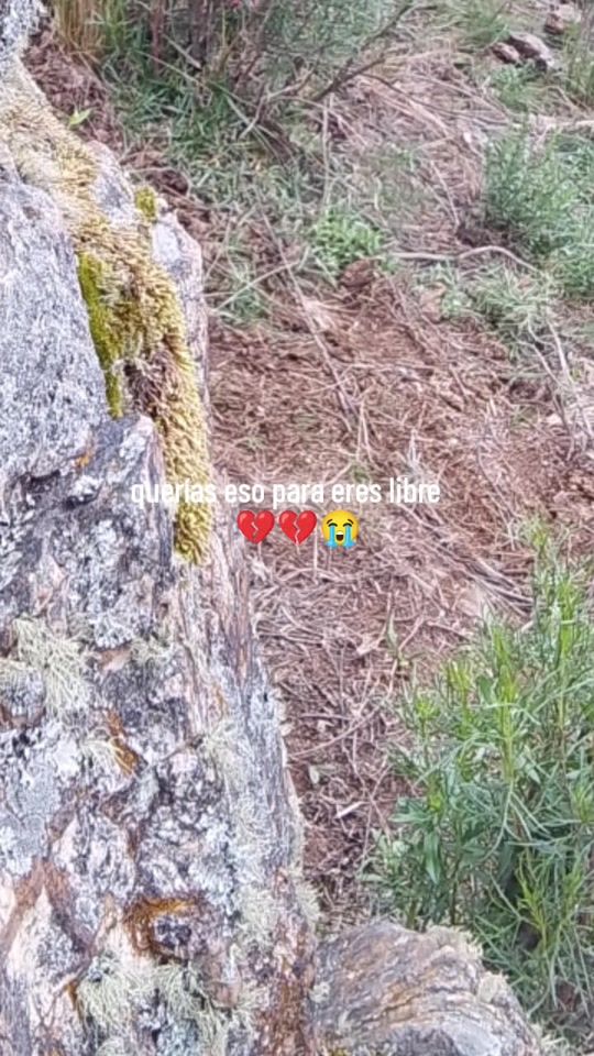 TikTok video thumbnail by judith.carrillo.c2