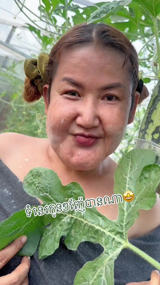 TikTok video thumbnail by sothawin
