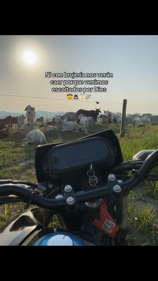 TikTok video thumbnail by mauriciolopez123