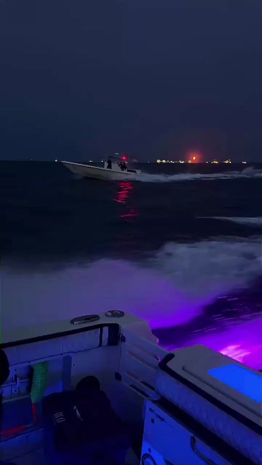 TikTok video thumbnail by seaaddicts