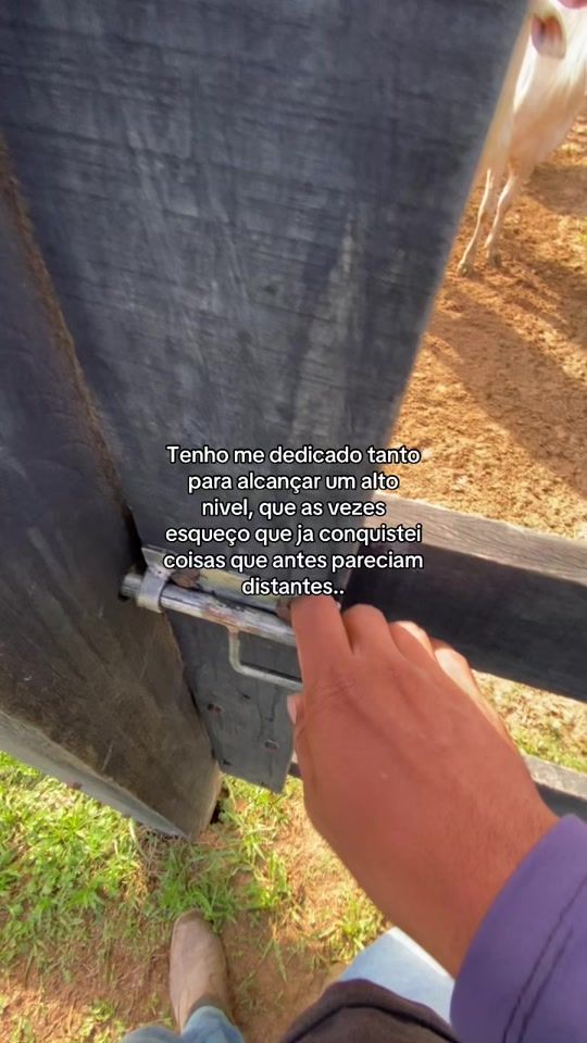 TikTok video thumbnail by joalisson_fj