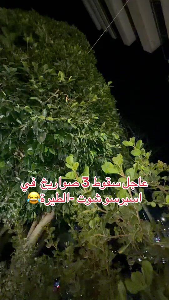 TikTok video thumbnail by earle13