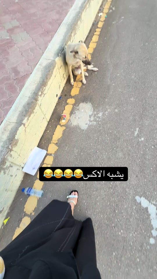 TikTok video thumbnail by sweet_fy89