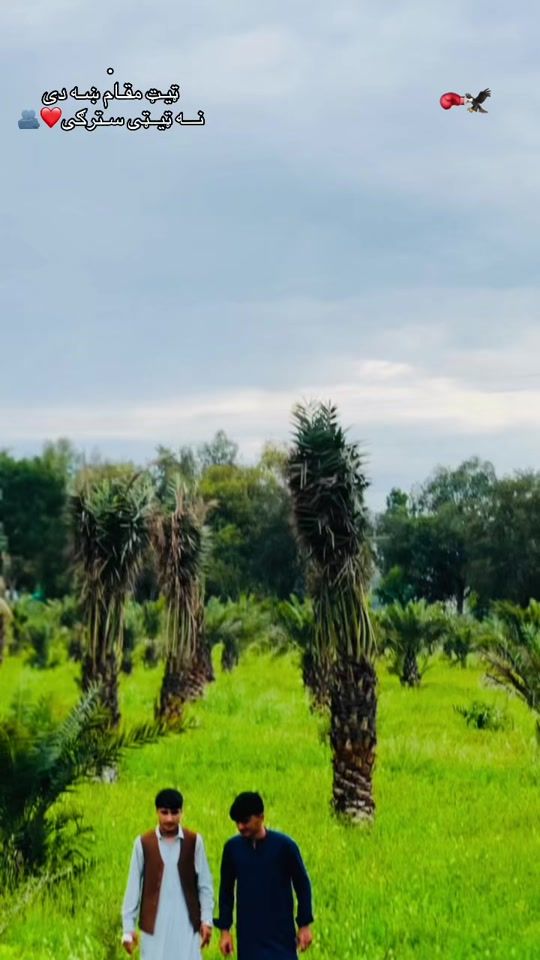 TikTok video thumbnail by ahmadoo296