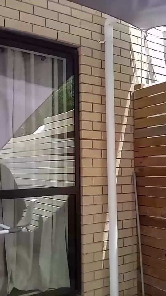 TikTok video thumbnail by mrfashi