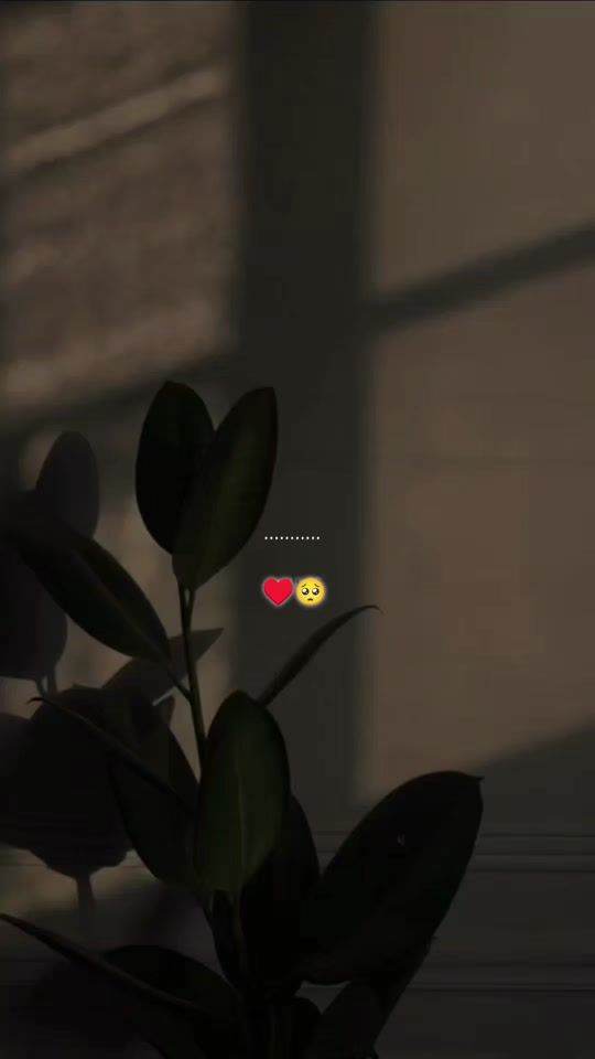 TikTok video thumbnail by dl.music.11