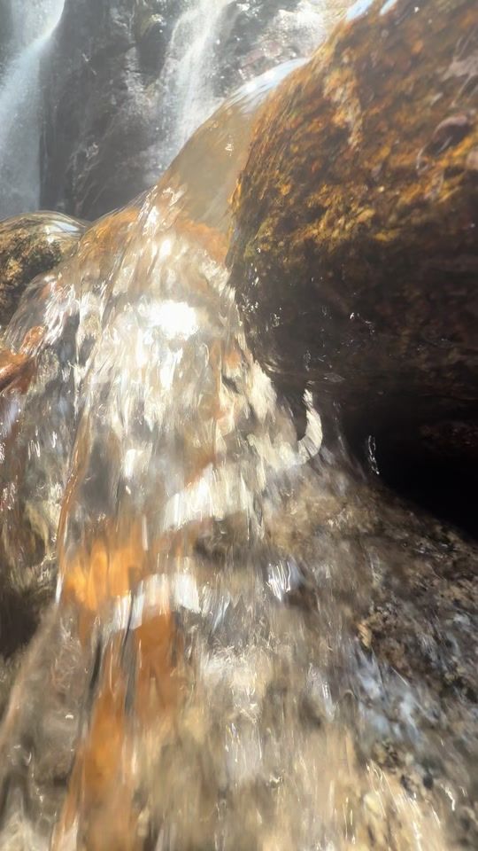 TikTok video thumbnail by user4435385548517