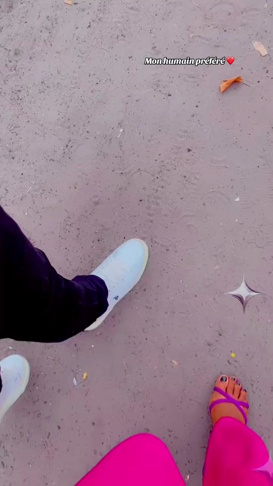 TikTok video thumbnail by niclamido