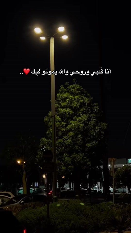 TikTok video thumbnail by noormasharqa100