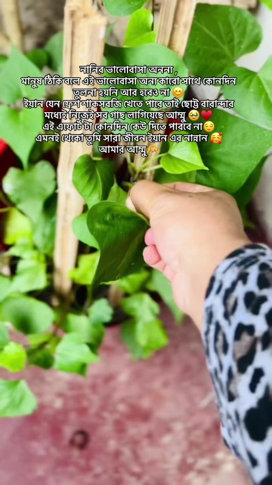 TikTok video thumbnail by sultana_tanni