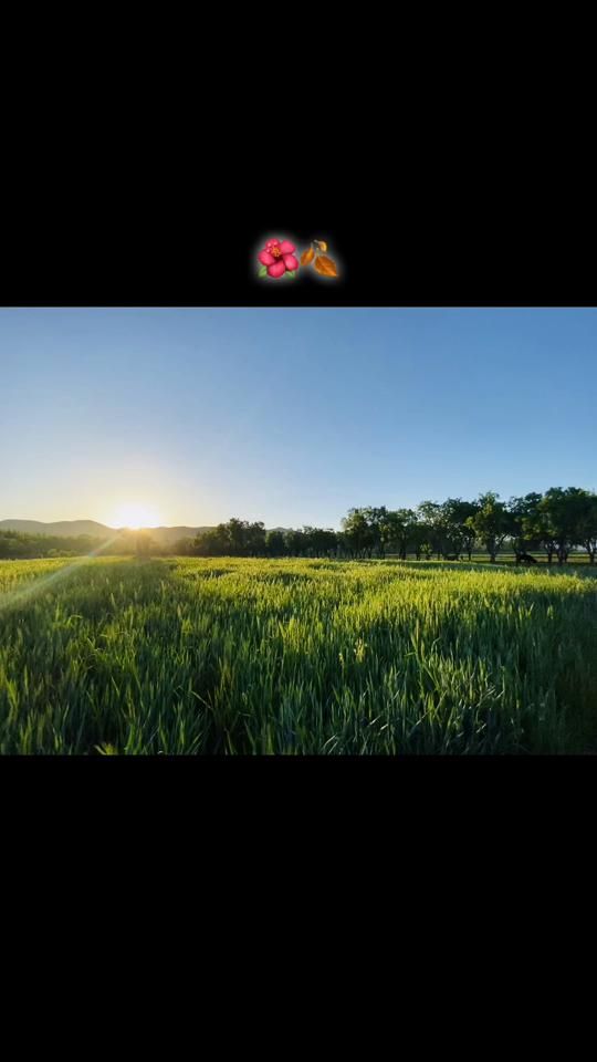 TikTok video thumbnail by behruzbe_l