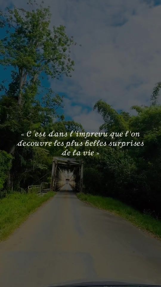 TikTok video thumbnail by paici_cmhy