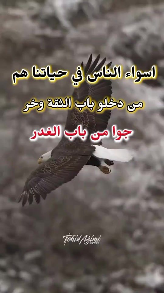 TikTok video thumbnail by the.store039