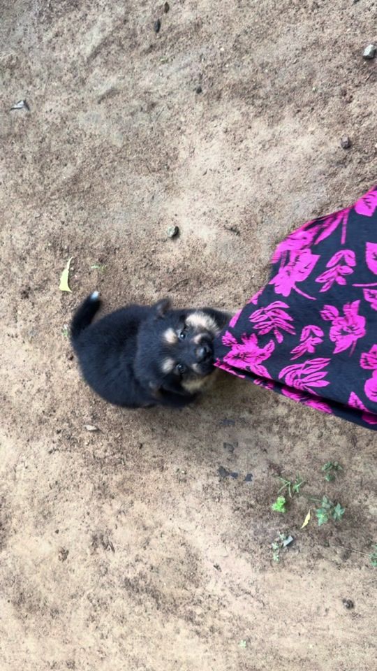 TikTok video thumbnail by januu1214