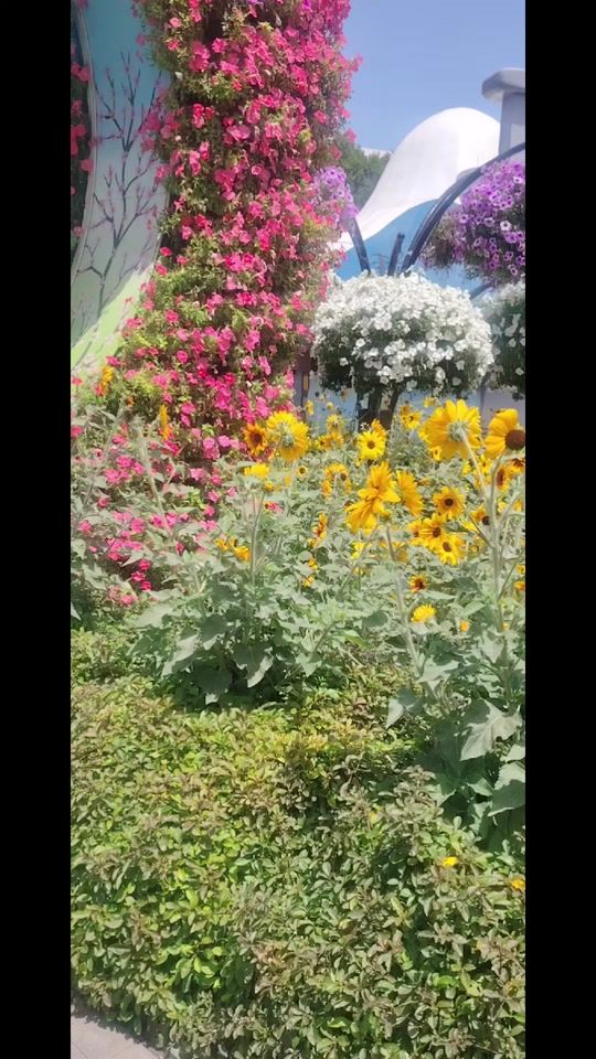 TikTok video thumbnail by anu_ruhi_