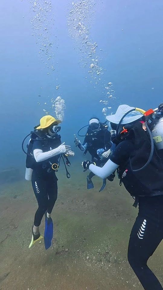 TikTok video thumbnail by shallwedivephuket