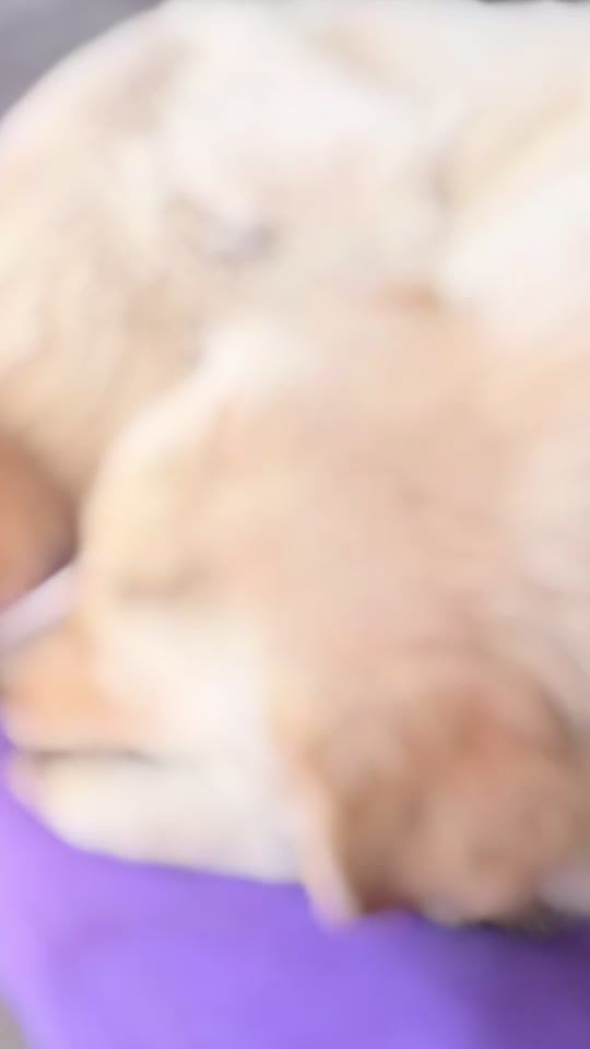 TikTok video thumbnail by irmasha25