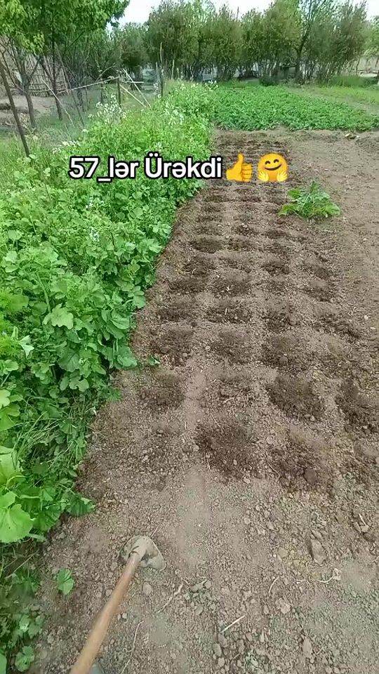 TikTok video thumbnail by 5.3.1992