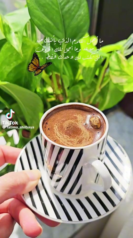 TikTok video thumbnail by oorood7676bb