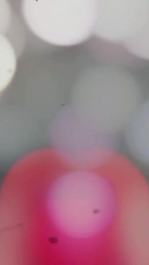 TikTok video thumbnail by mayalusumu4