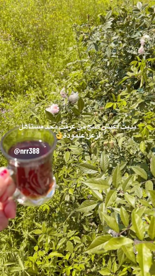 TikTok video thumbnail by nrr388