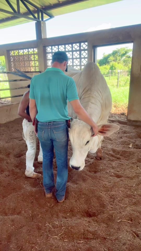 TikTok video thumbnail by mara_forrozeira