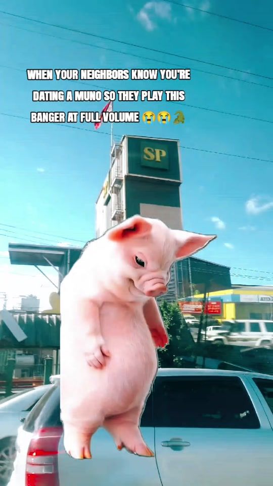TikTok video thumbnail by plesssmausss