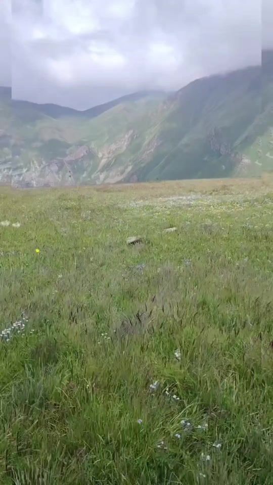 TikTok video thumbnail by quluyev041