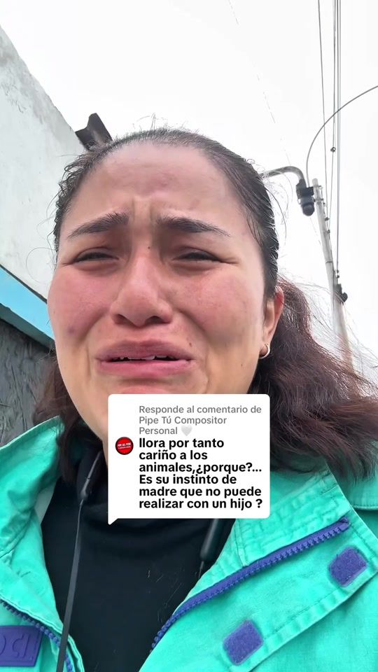 TikTok video thumbnail by zullyzoum